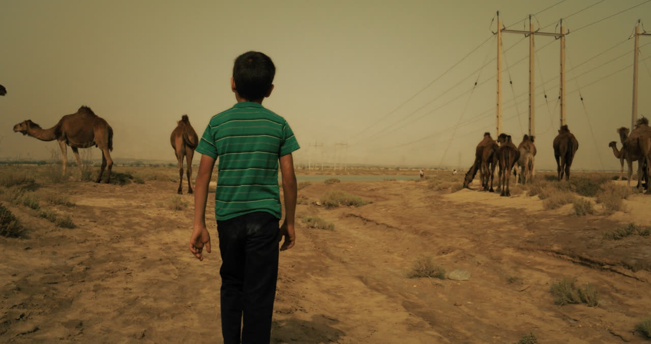 A boy walks towards camels on a hazy desert track