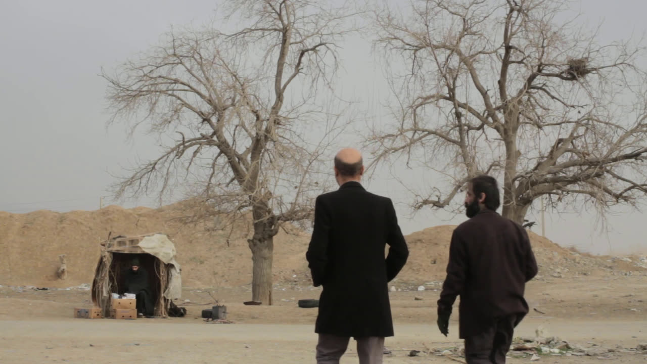 Two men walk towards bare trees on waste ground